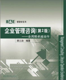 《企業(yè)管理咨詢 全周期卓越運(yùn)作》（第2版）——驅(qū)動商業(yè)成功的專業(yè)引擎